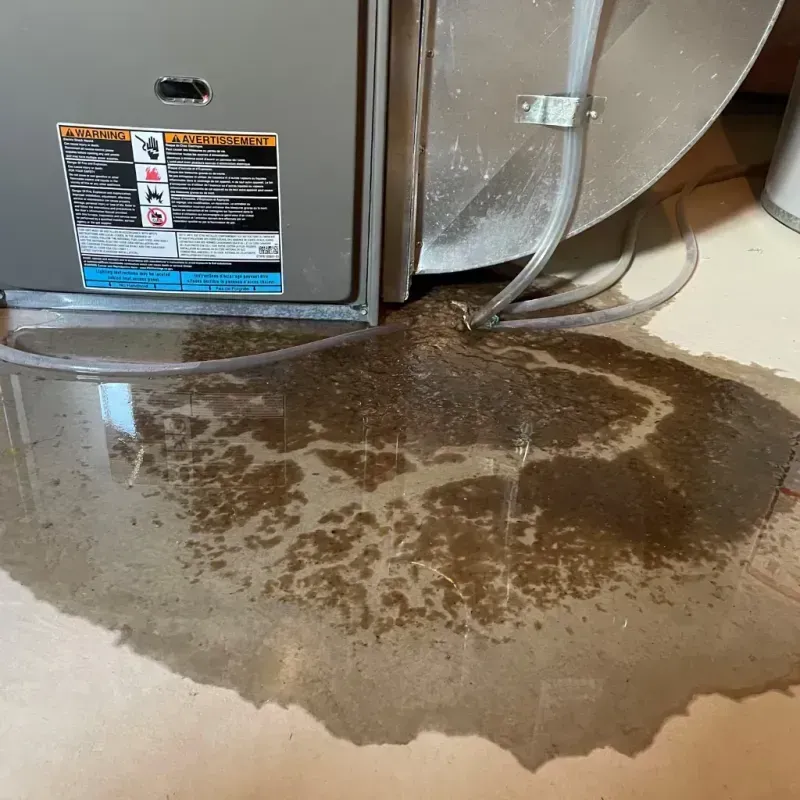 Appliance Leak Cleanup in Princeton, KY